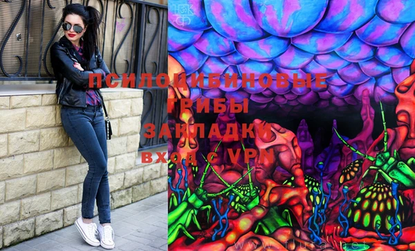первитин Козельск