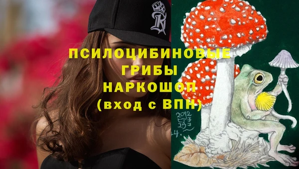 первитин Козельск