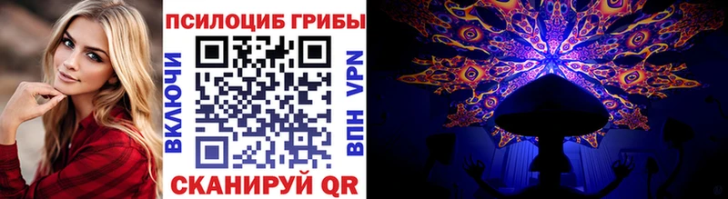 Купить  Миасс  Галлюциногенные грибы Psilocybine cubensis 